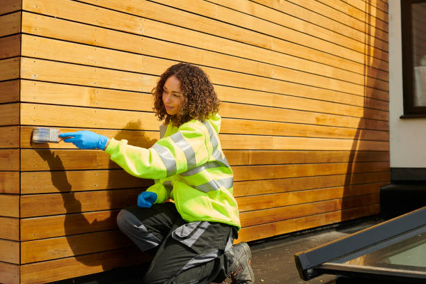 Best Fascia and Soffit Installation  in Chamberlain, SD